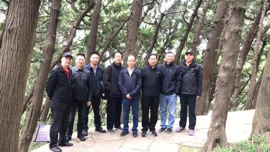 宁夏，自然之恋，浪漫邂逅之地